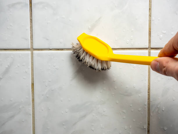 Reliable Reedsville, WI Mold Removal Solutions