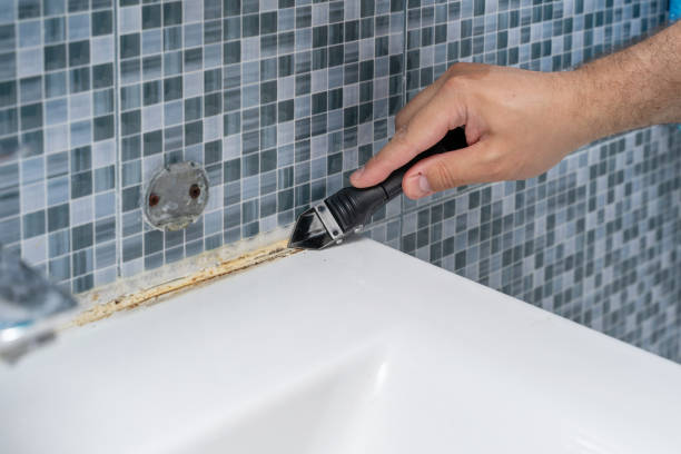 Best Office Mold Removal Services  in Reedsville, WI